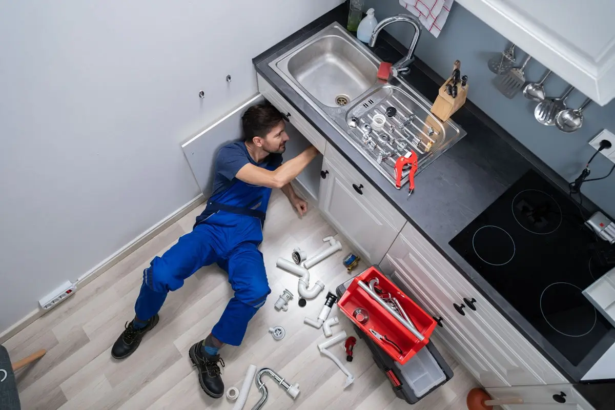 Professional Plumber