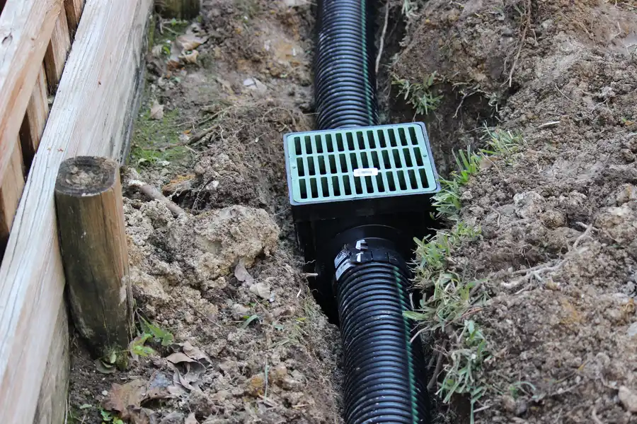 How To Identify Early Warning Signs Of Drain Damage in Vallejo, CA